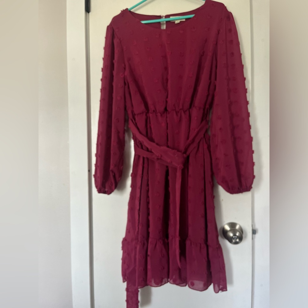 Elegant Burgundy Long-Sleeve Dress